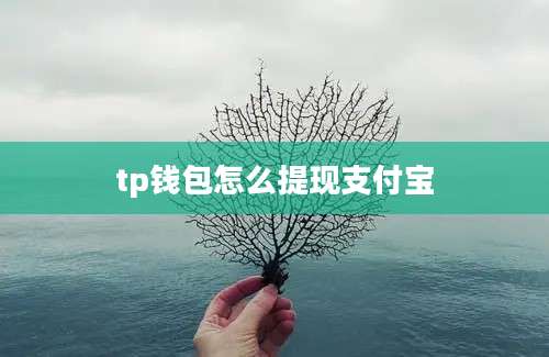 tp钱包怎么提现支付宝