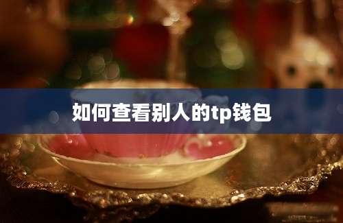 如何查看别人的tp钱包
