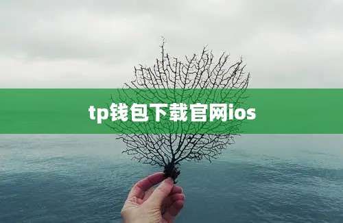 tp钱包下载官网ios