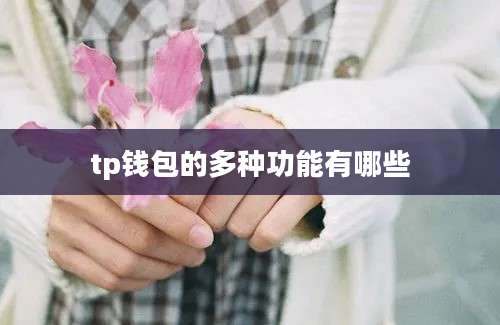 tp钱包的多种功能有哪些