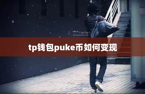 tp钱包puke币如何变现