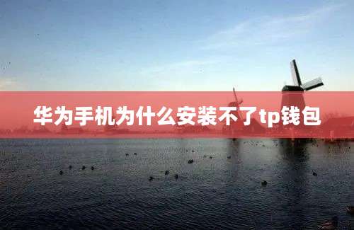 华为手机为什么安装不了tp钱包
