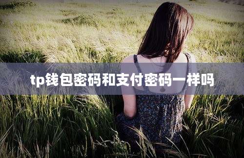 tp钱包密码和支付密码一样吗