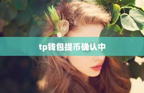 tp钱包提币确认中