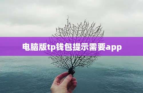 电脑版tp钱包提示需要app