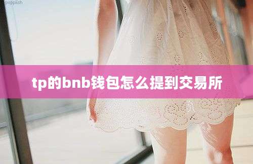 tp的bnb钱包怎么提到交易所
