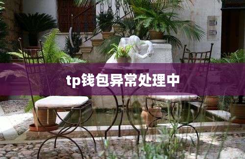 tp钱包异常处理中