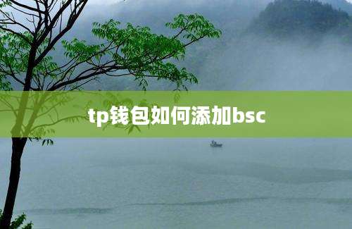 tp钱包如何添加bsc