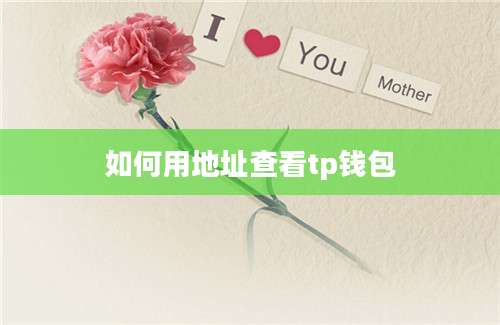 如何用地址查看tp钱包