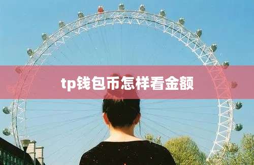 tp钱包币怎样看金额