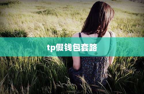 tp假钱包套路
