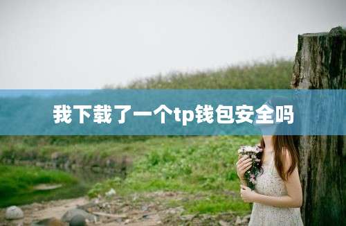 我下载了一个tp钱包安全吗