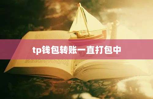 tp钱包转账一直打包中