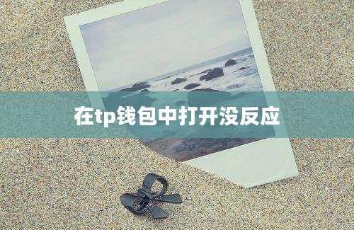 在tp钱包中打开没反应