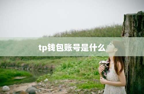tp钱包账号是什么