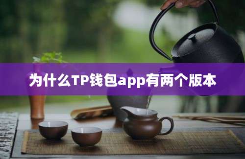 为什么TP钱包app有两个版本