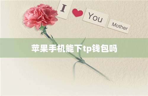苹果手机能下tp钱包吗