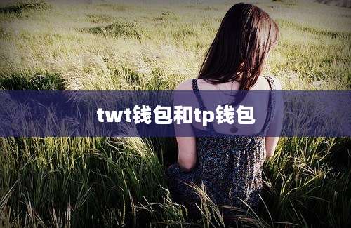 twt钱包和tp钱包