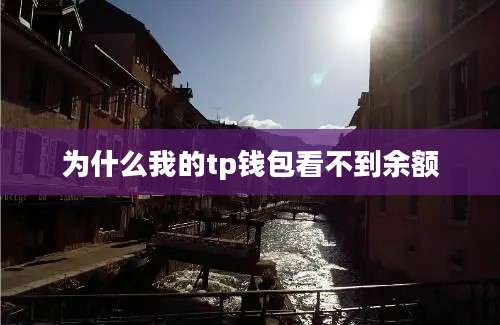 为什么我的tp钱包看不到余额