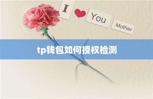 tp钱包如何授权检测