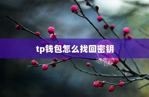 tp钱包怎么找回密钥