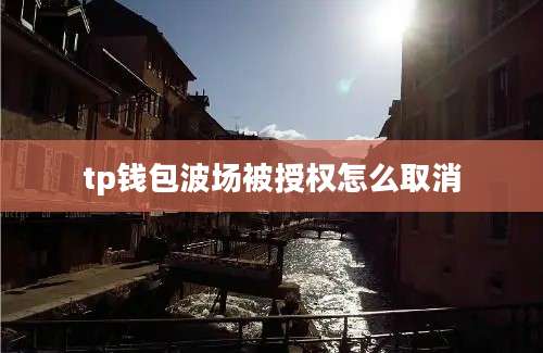 tp钱包波场被授权怎么取消