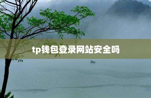 tp钱包登录网站安全吗