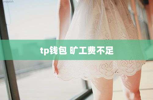 tp钱包 旷工费不足