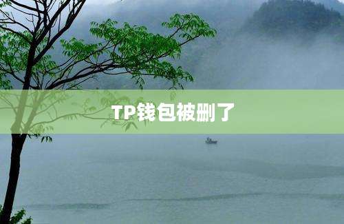 TP钱包被删了