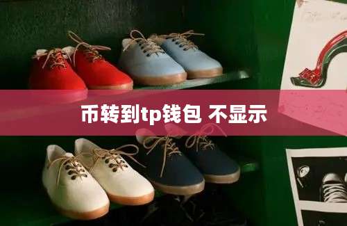 币转到tp钱包 不显示