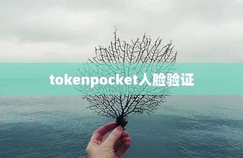 tokenpocket人脸验证