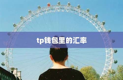 tp钱包里的汇率