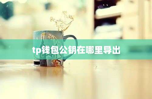 tp钱包公钥在哪里导出