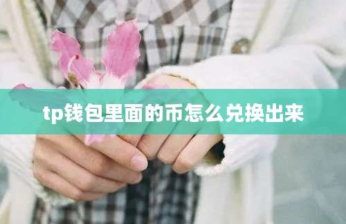 tp钱包里面的币怎么兑换出来