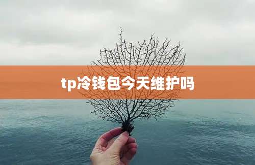 tp冷钱包今天维护吗