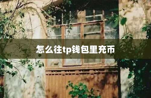 怎么往tp钱包里充币