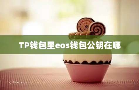 TP钱包里eos钱包公钥在哪