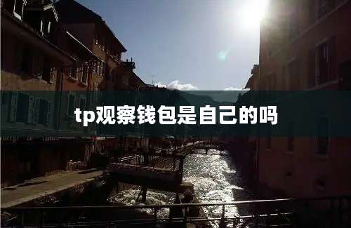 tp观察钱包是自己的吗