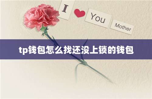 tp钱包怎么找还没上锁的钱包
