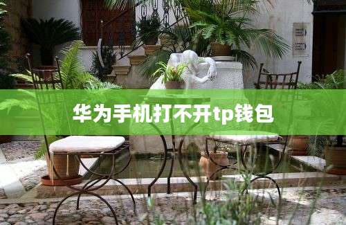 华为手机打不开tp钱包