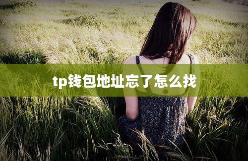 tp钱包地址忘了怎么找