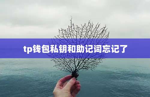tp钱包私钥和助记词忘记了