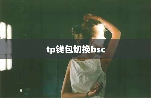 tp钱包切换bsc