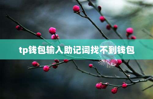 tp钱包输入助记词找不到钱包