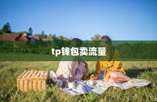 tp钱包卖流量