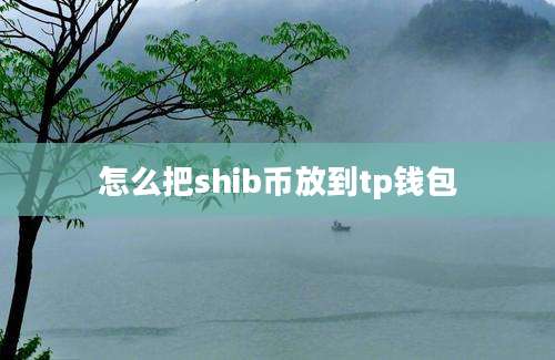 怎么把shib币放到tp钱包