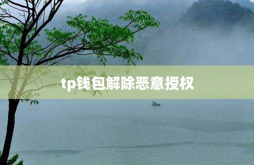 tp钱包解除恶意授权