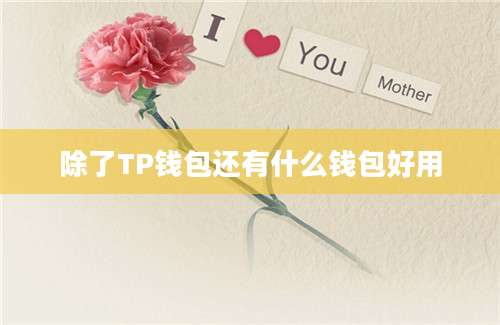 除了TP钱包还有什么钱包好用