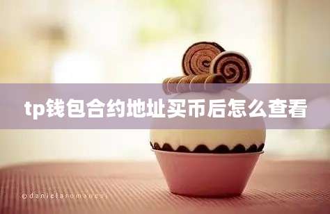 tp钱包合约地址买币后怎么查看
