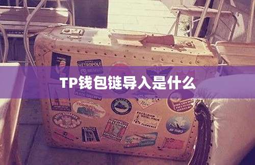 TP钱包链导入是什么